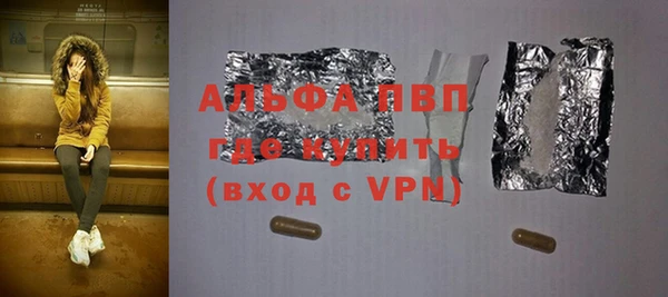 молекула духа Бородино