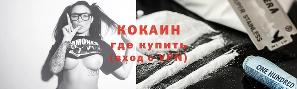 молекула духа Бородино