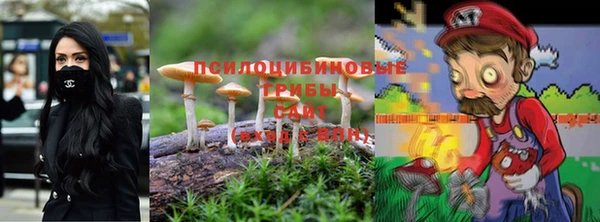 молекула духа Бородино