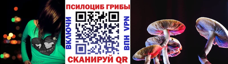 Галлюциногенные грибы GOLDEN TEACHER  купить наркоту  Бузулук 