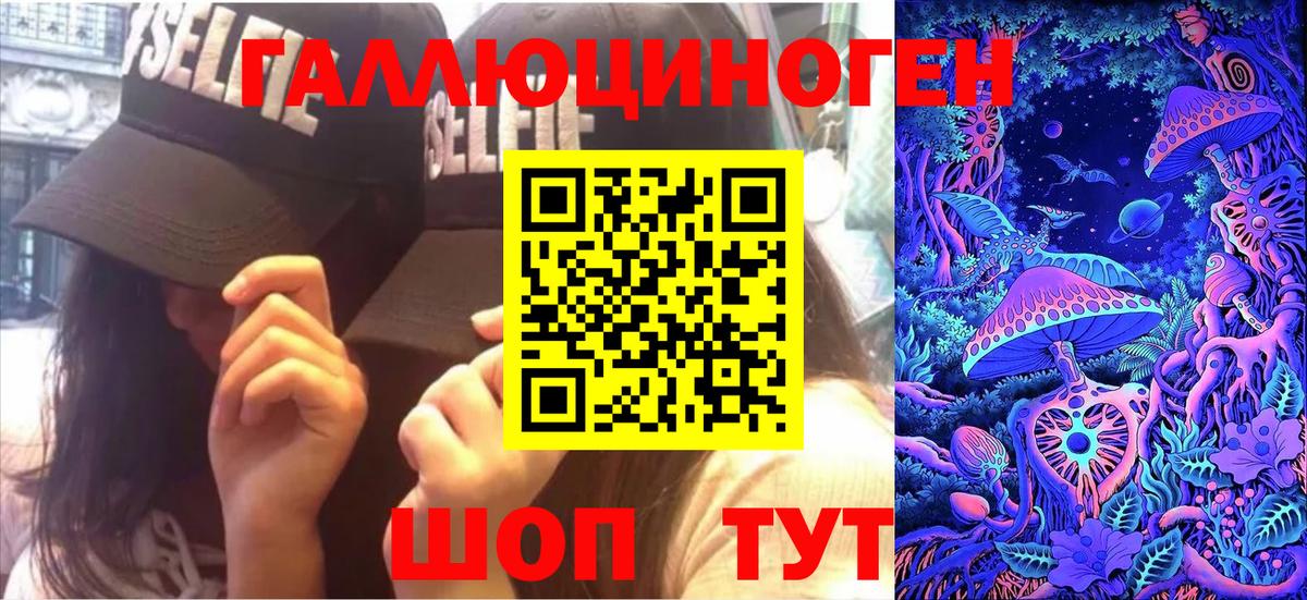 Галлюциногенные грибы Psilocybine cubensis Бузулук