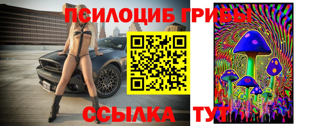сколько стоит  Галлюциногенные грибы Psilocybine cubensis  Бузулук  Вход с VPN  Псилоцибиновые грибы мухоморы 